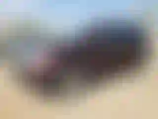 Vehicle Image- 2010 Ford Edge