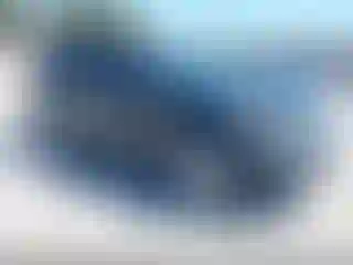 Vehicle Image- 2010 Ford Edge