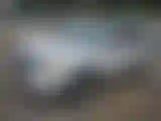 Vehicle Image- 2011 Ford Edge