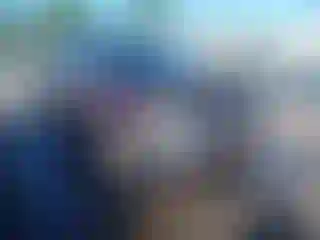 Vehicle Image- 2011 Ford Edge