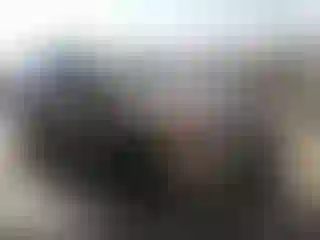 Vehicle Image- 2014 Ford Edge