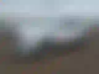 Vehicle Image- 2010 Ford Edge