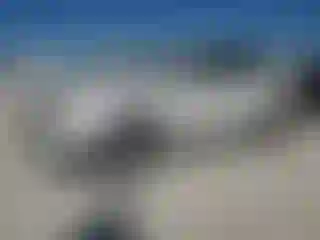 Vehicle Image- 2010 Ford Edge