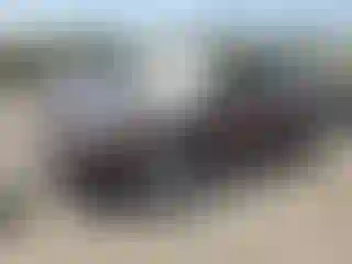 Vehicle Image- 2011 Ford Edge
