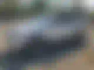 Vehicle Image- 2011 Ford Edge