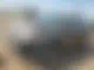 Vehicle Image- 2012 Ford Edge