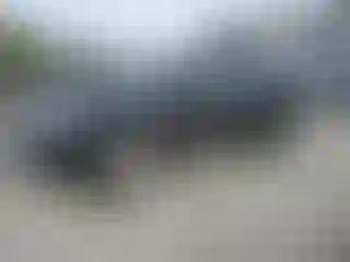 Vehicle Image- 2010 Ford Edge