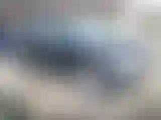 Vehicle Image- 2010 Ford Edge