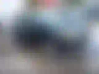 Vehicle Image- 2010 Ford Edge