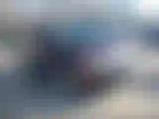 Vehicle Image- 2010 Ford Edge