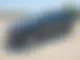 Vehicle Image- 2011 Ford Edge