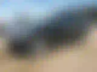 Vehicle Image- 2013 Ford Edge