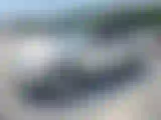 Vehicle Image- 2010 Ford Edge