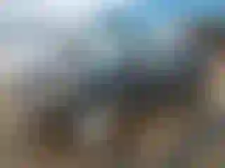 Vehicle Image- 2011 Ford Edge