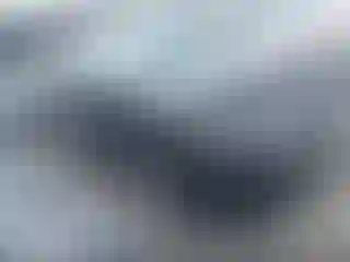 Vehicle Image- 2011 Ford Edge