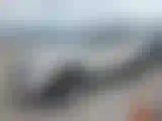 Vehicle Image- 2014 Ford Edge