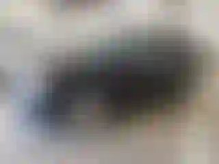 Vehicle Image- 2009 Ford Edge