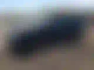 Vehicle Image- 2009 Ford Edge