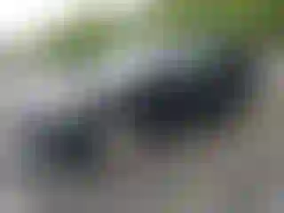 Vehicle Image- 2009 Ford Edge