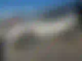 Vehicle Image- 2009 Ford Edge