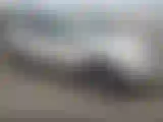 Vehicle Image- 2008 Ford Edge