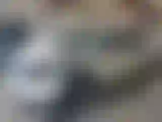 Vehicle Image- 2008 Ford Edge