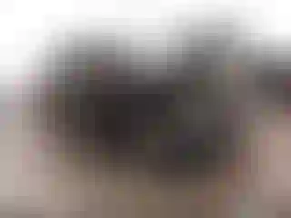 Vehicle Image- 2008 Ford Edge