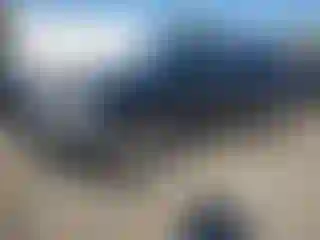 Vehicle Image- 2007 Ford Edge