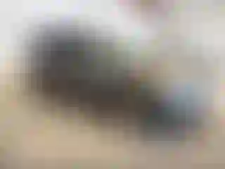 Vehicle Image- 2009 Ford Edge