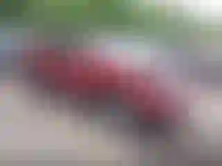 Vehicle Image- 2008 Ford Edge
