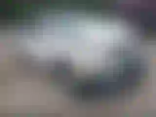 Vehicle Image- 2008 Ford Edge