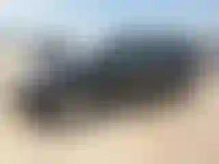 Vehicle Image- 2013 Ford Edge