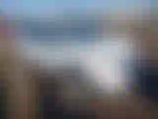 Vehicle Image- 2014 Ford Edge