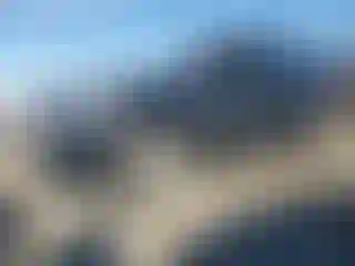 Vehicle Image- 2014 Ford Edge