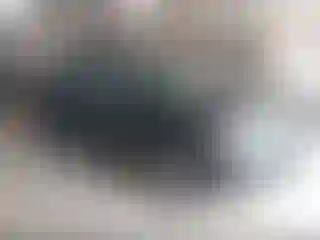 Vehicle Image- 2010 Ford Edge