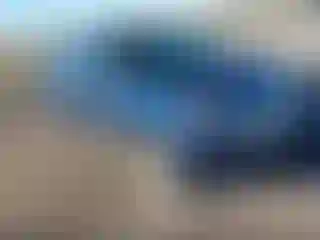 Vehicle Image- 2012 Ford Edge