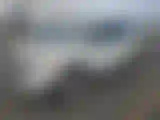 Vehicle Image- 2013 Ford Edge