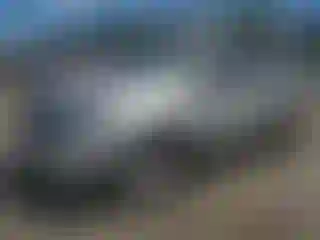 Vehicle Image- 2014 Ford Edge