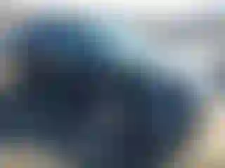 Vehicle Image- 2014 Ford Edge