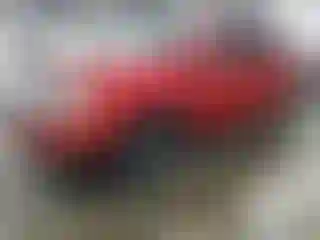 Vehicle Image- 2010 Ford Edge