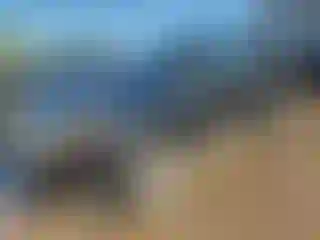 Vehicle Image- 2012 Ford Edge