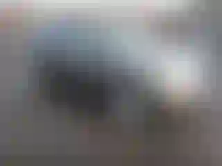 Vehicle Image- 2012 Ford Edge