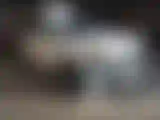 Vehicle Image- 2013 Ford Edge