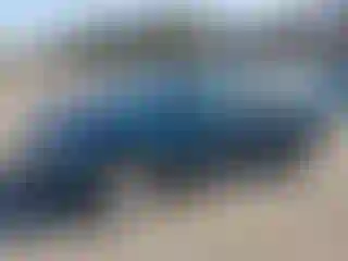 Vehicle Image- 2011 Ford Edge