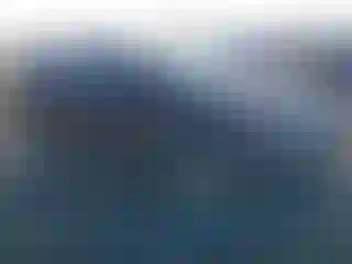 Vehicle Image- 2010 Ford Edge