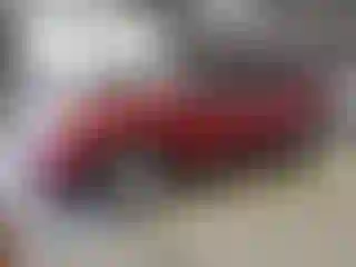 Vehicle Image- 2013 Ford Edge