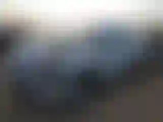 Vehicle Image- 2011 Ford Edge