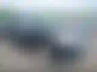 Vehicle Image- 2013 Ford Edge