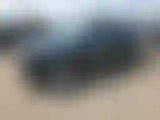 Vehicle Image- 2013 Ford Edge