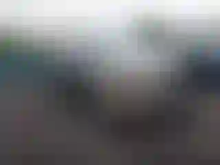 Vehicle Image- 2013 Ford Edge